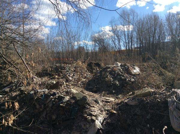 Активисты ОНФ выявили факт экологического ущерба на 12 млн рублей от свалки в природном заказнике «Долина реки Сетунь»