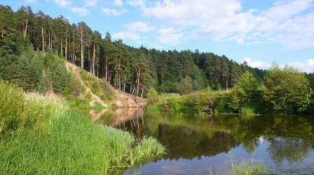 В Ярославской области объекты накопленного экологического вреда закроет ГК Корпорация «ГазЭнергоСтрой»