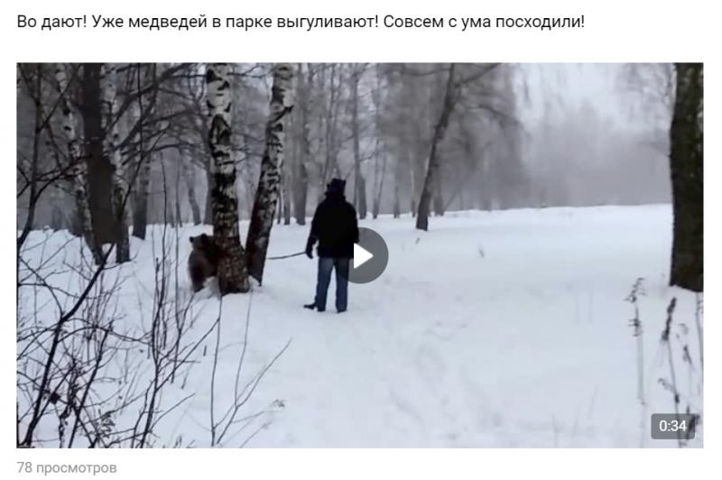 В Клязьминском лесопарке снова замечен медведь