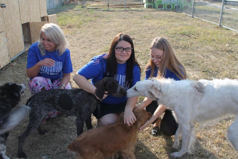 Молодежный совет филиала Почты России в Мордовии оказал помощь центру помощи бездомным животным
