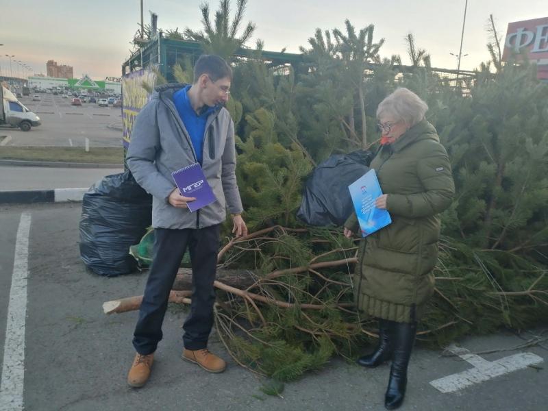 Мониторинг по реализации продажи новогодних елок провели Подольские молодогвардейцы.