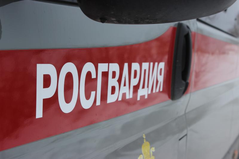 В Челябинске за сутки сотрудники Росгвардии задержали пятерых подозреваемых в нанесении побоев