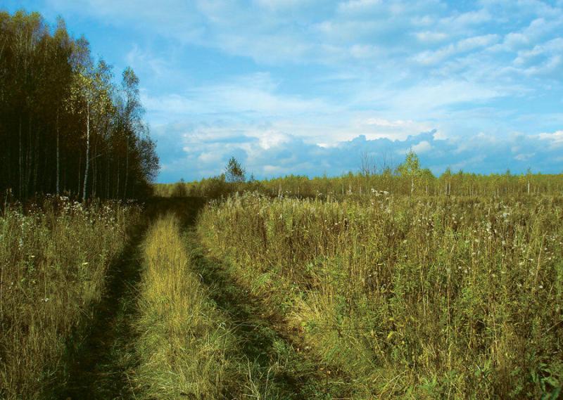 Управлением Россельхознадзора по Забайкальскому краю проконтролировано 29 тысяч га сельскохозяйственных угодий, не используемых по назначению