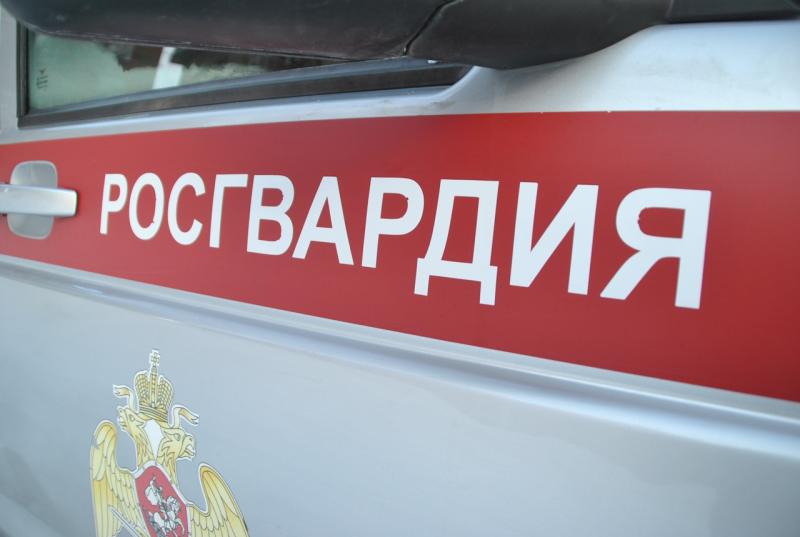В Кирове росгвардейцы задержали проникшего в винный отдел охраняемого магазина