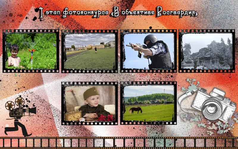 В Свердловской области определены победители регионального этапа ведомственного фотоконкурса «В объективе Росгвардия»