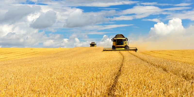 Россельхозбанк  почти на 70% увеличил поддержку сезонных работ в Курской области