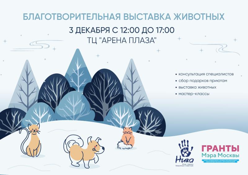 Благотворительная выставка бездомных животных пройдет в Москве 3 декабря.