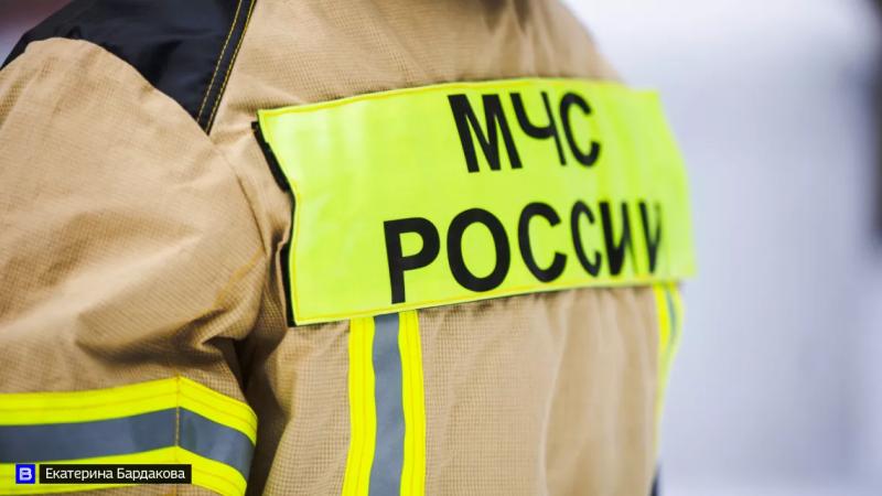С начала 2024 года в Томской области произошло меньше пожаров, чем за аналогичный период в прошлом году