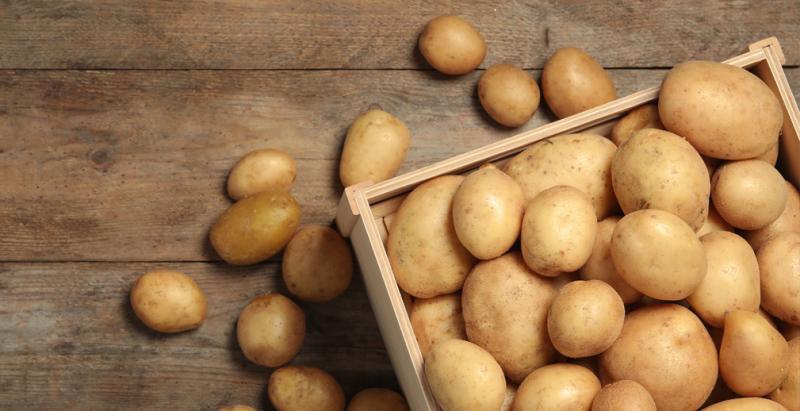 Фри, пай, запеканка или гротен: РСХБ рассказал, как полезнее всего есть картофель