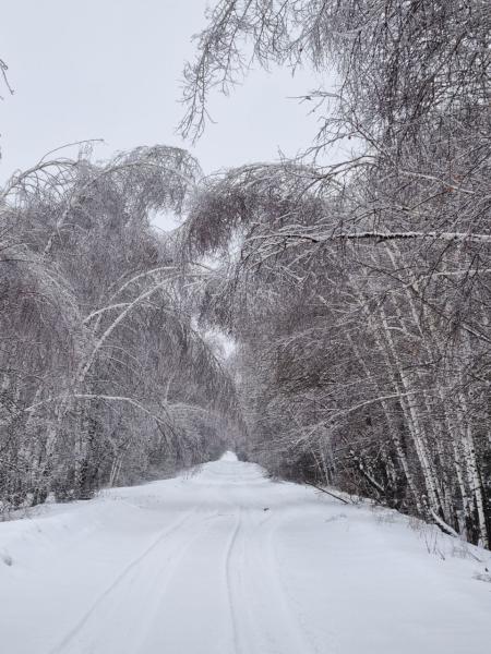 В Орловской области энергетики круглосуточно восстанавливают нарушенное ледяным дождем электроснабжение