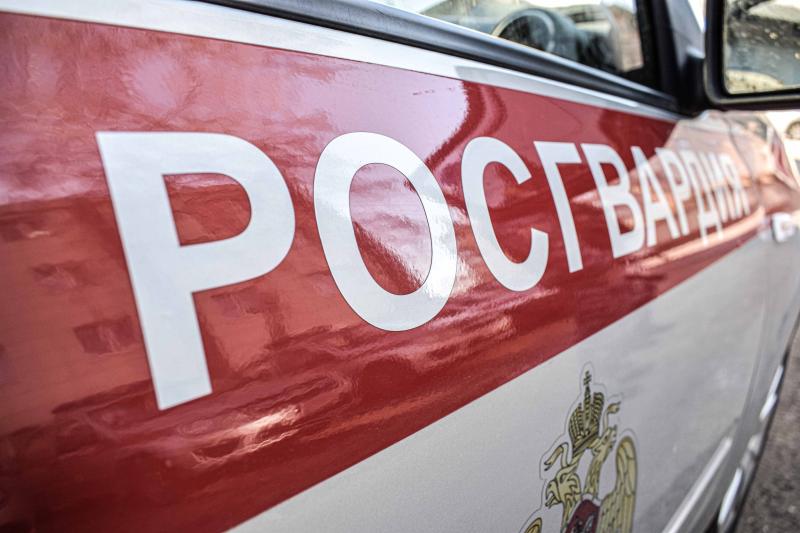 В Татарстане сотрудники Росгвардии задержали двоих граждан, подозреваемых в кражах из строительных магазинов