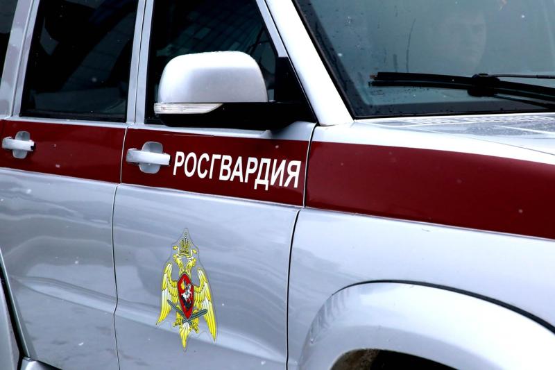 В Саранске росгвардейцы задержали нарушителя правопорядка из Ромоданово