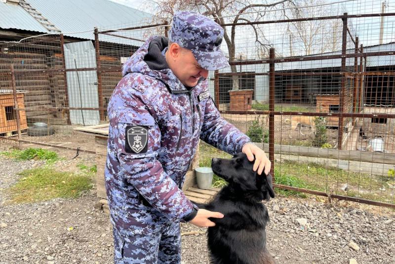 Росгвардейцы со школьниками оказали помощь в день защиты животных