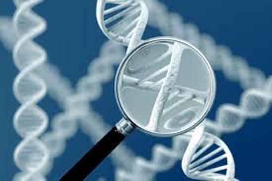 Генетический тест на предрасположенность к раковым заболеваниям