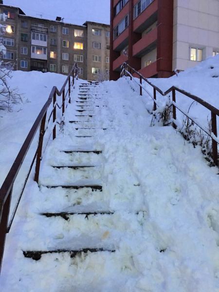 Мурманские активисты ОНФ раскритиковали качество уборки снега в регионе